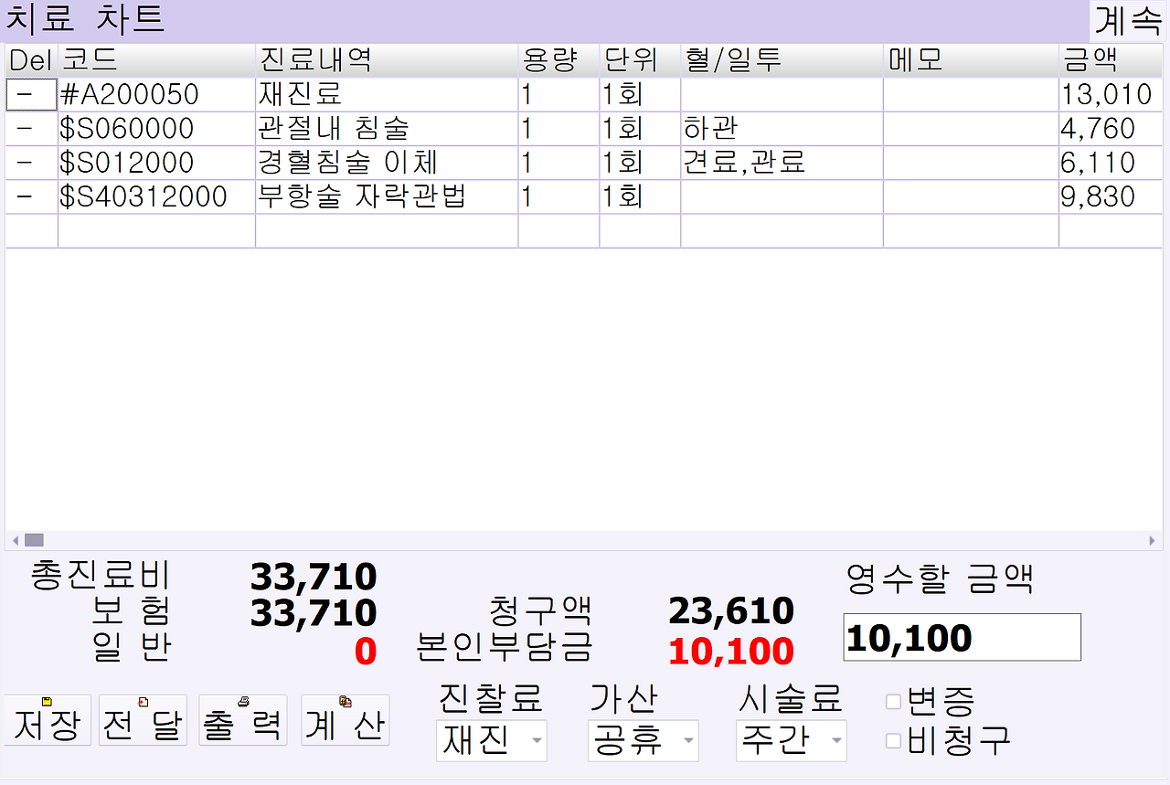 진료내역 화면 배율 예시